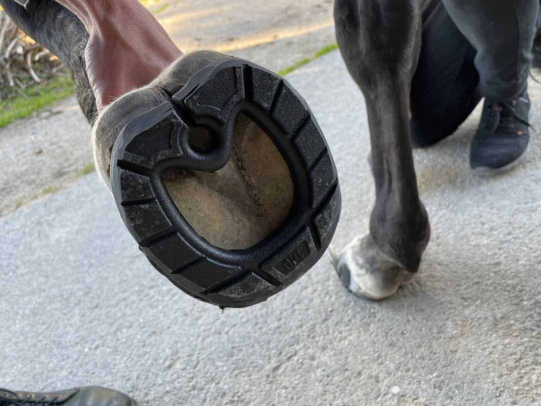 Hufschutz durch Klebebeschlag