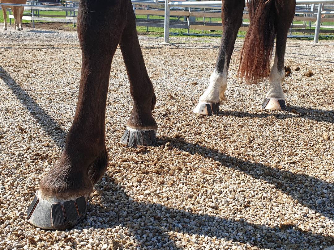 Volles Bewegungsspektrum mit Goodsmith