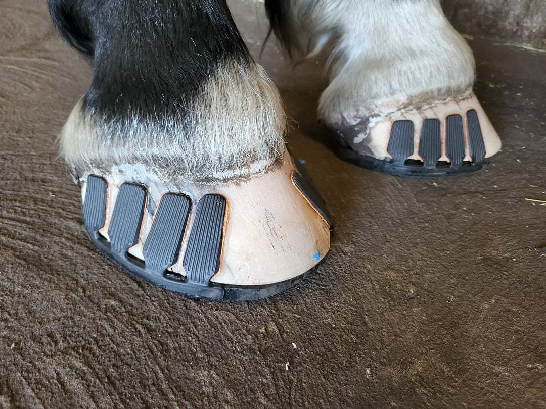 Gute Haltbarkeit - Auch bei großen Hufen