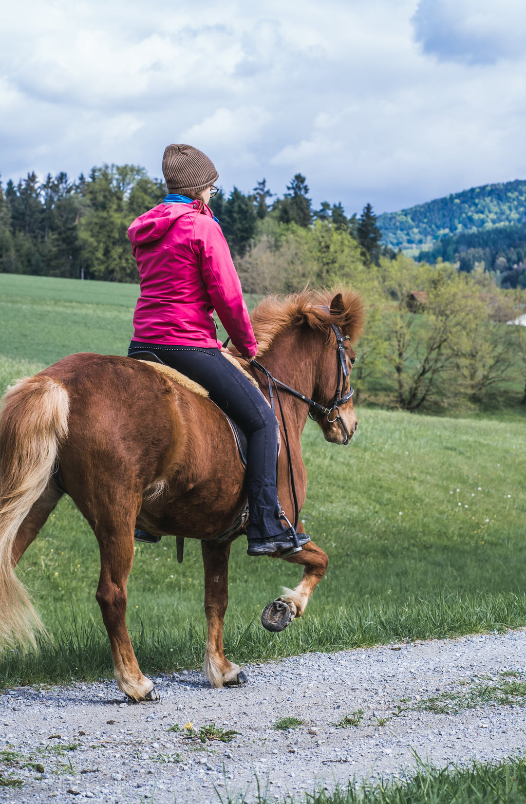 Das Feedback meiner Stute war eindeutig