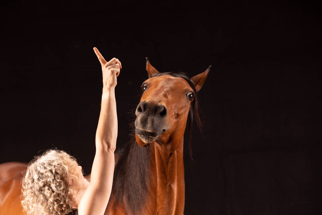 Hufschuhe Erfahrung Goodsmith