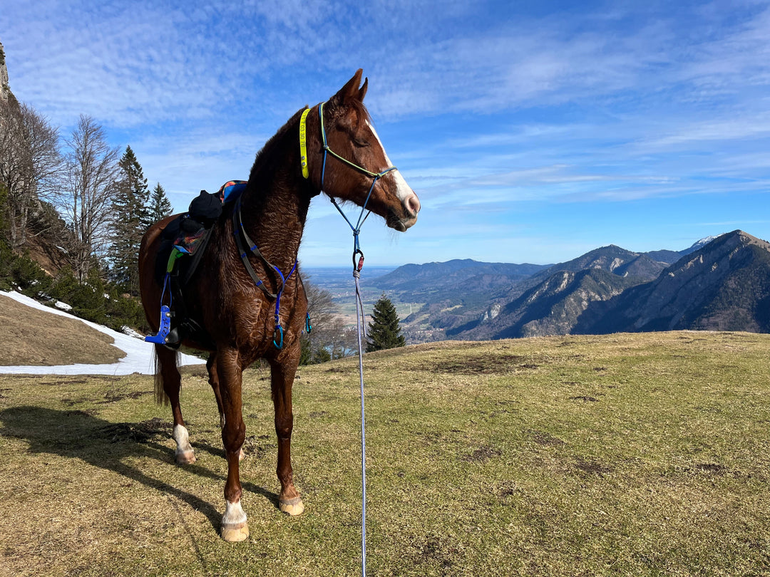Trittsicherheit im Gelände mit dem Goodsmith