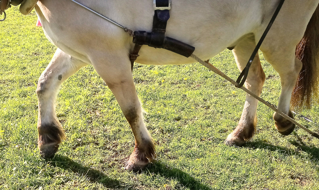 Goodsmith im Einsatz beim Holzrückekurs
