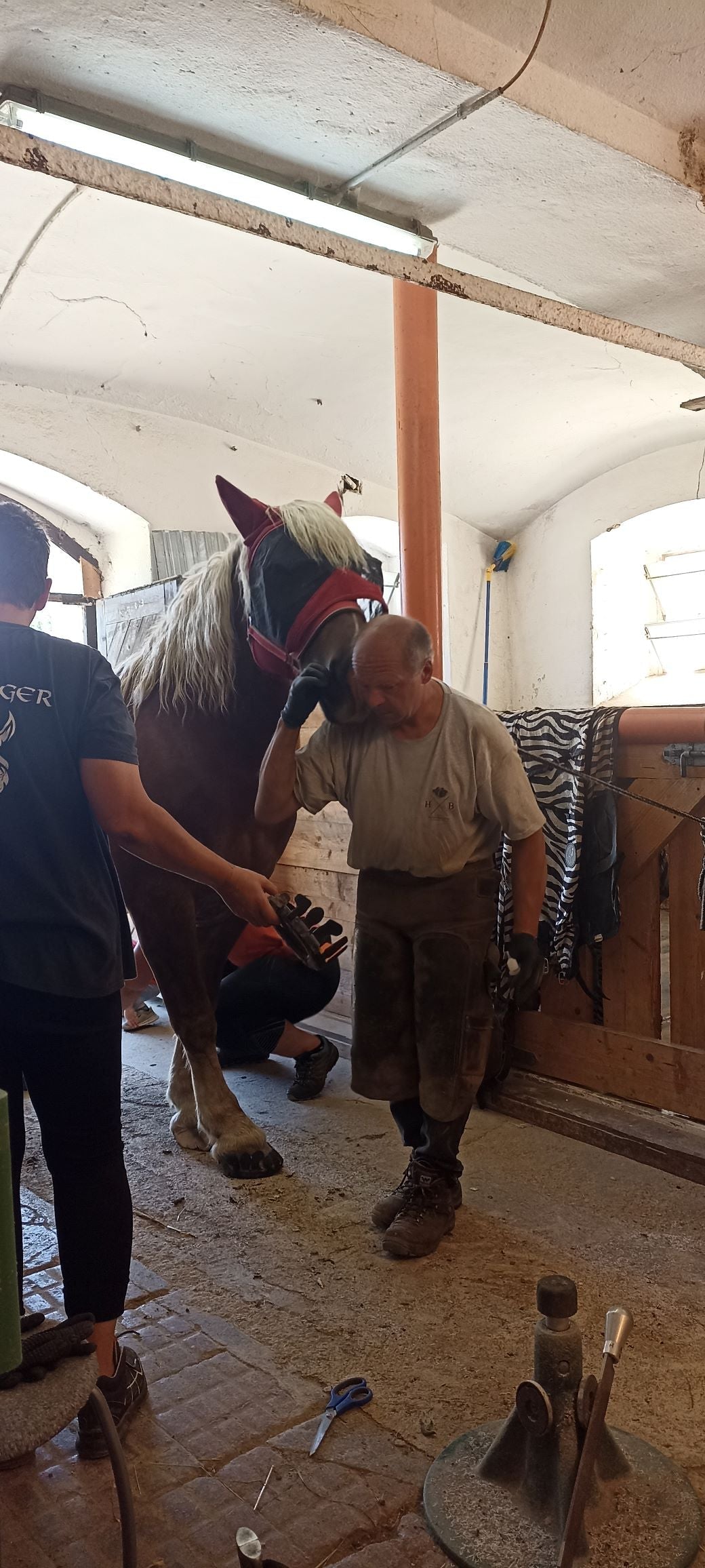 Ausgebrochene Hufe erholen sich mit Goodsmith