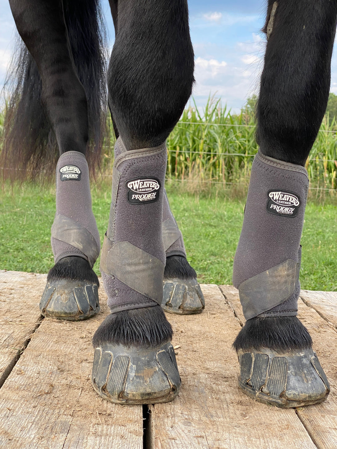 Starten mit Klebebeschlägen