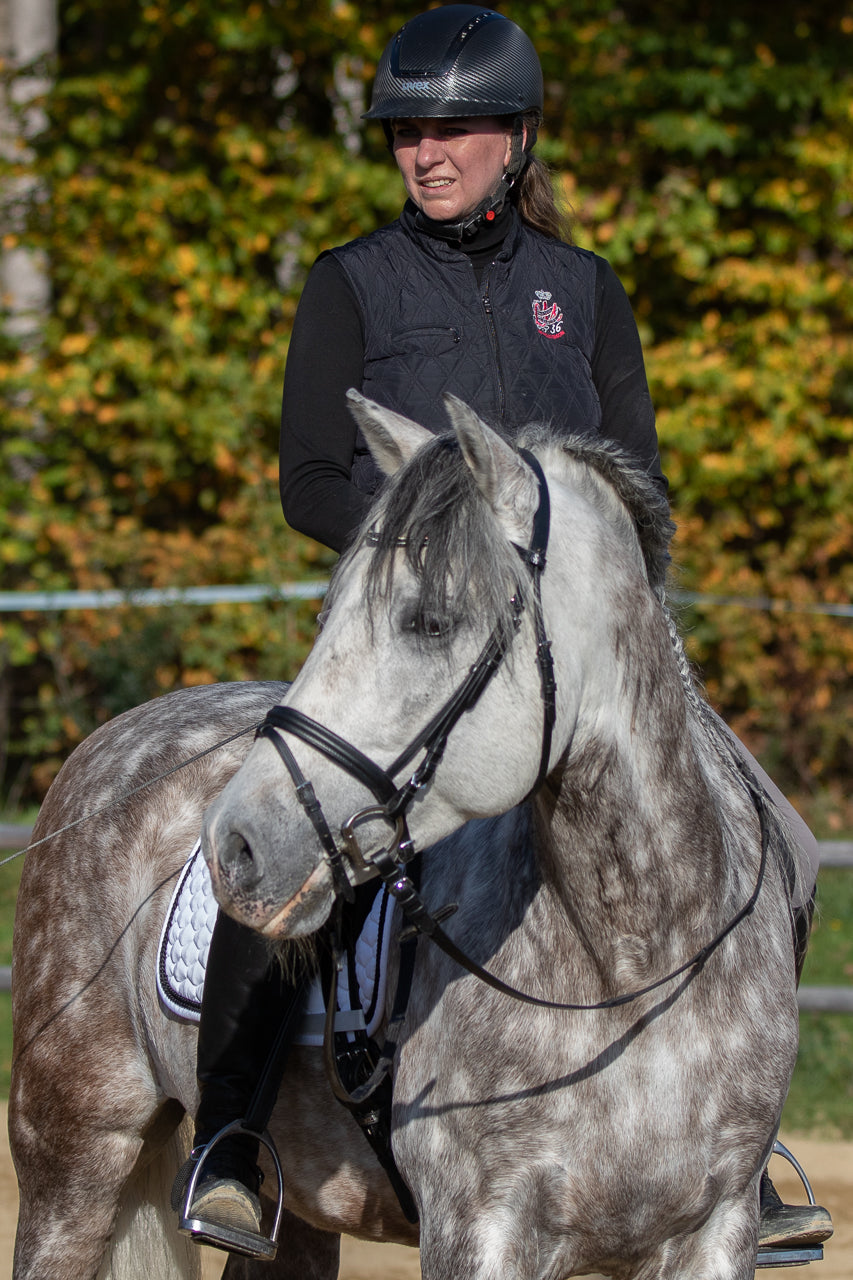 Goodsmith in der Selbstanbringung