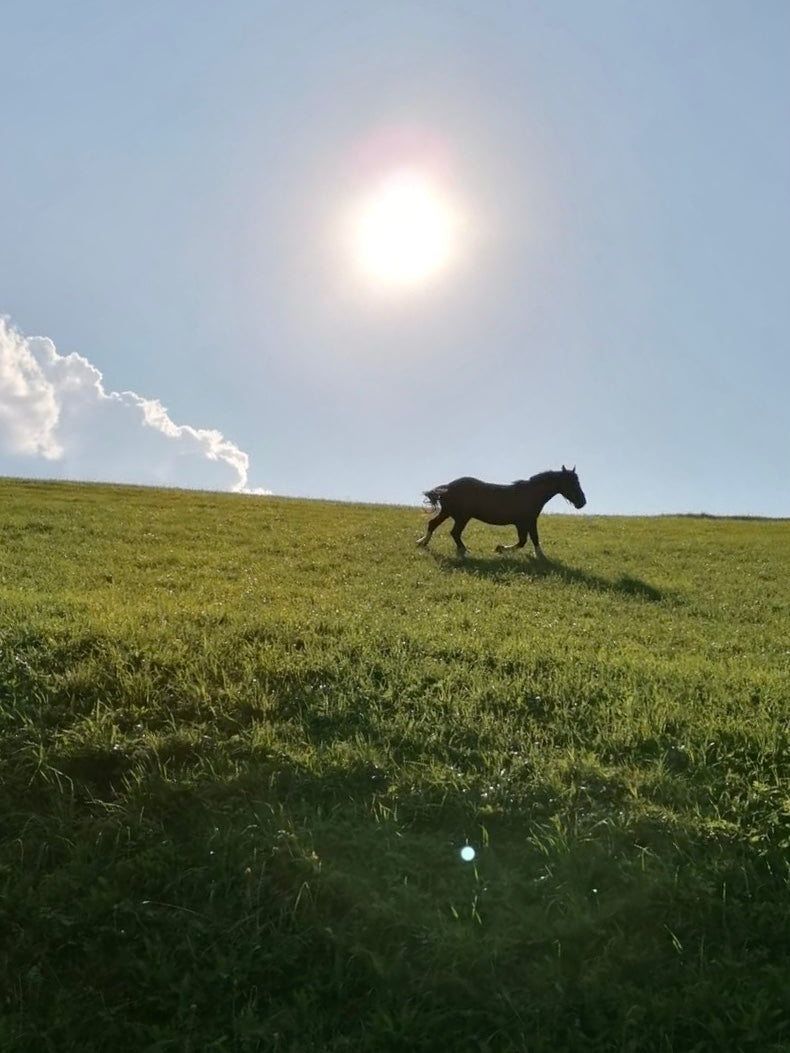 Klebebeschlag in felsigem Gelände