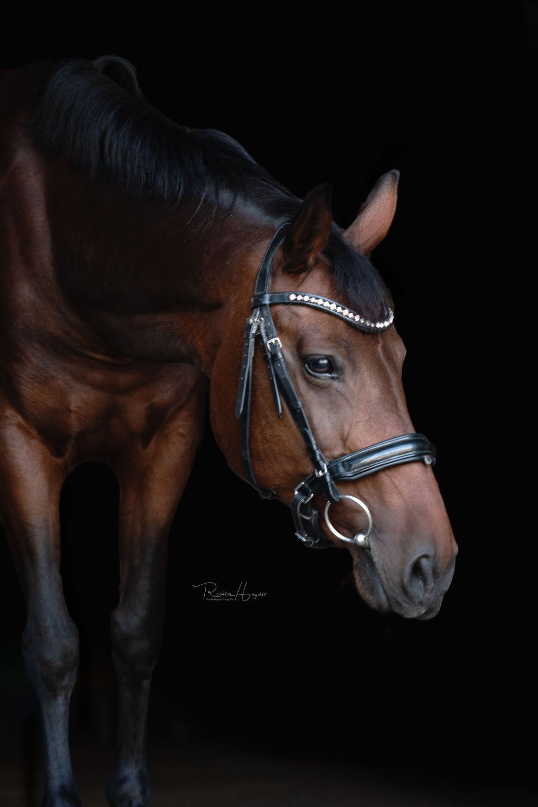 Die Goodsmiths haben mein Pferd gerettet!