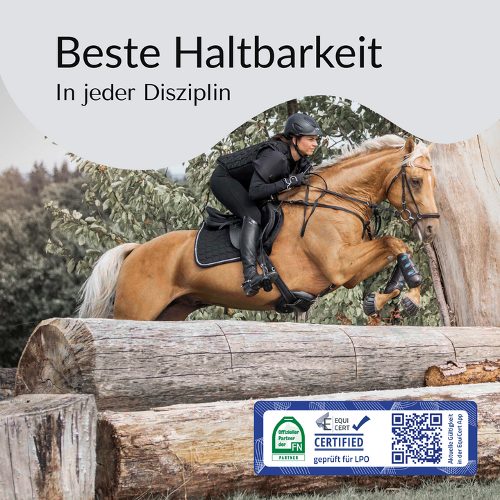 Goodsmith Klebebeschlag