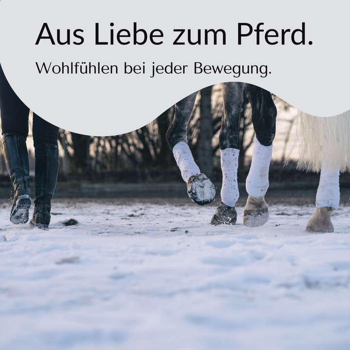 Goodsmith Klebebeschlag