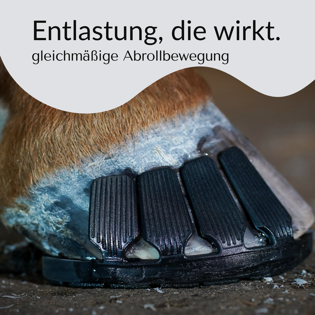 Reha Grundplatte