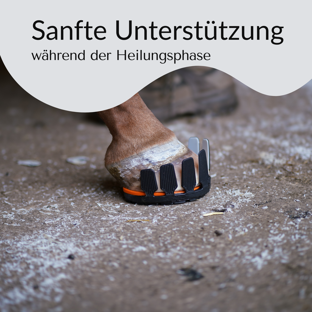 Reha Grundplatte