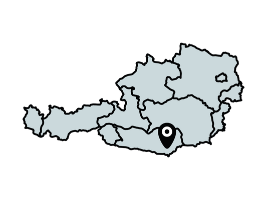 Workshop Standort Österreich Moosburg.png
