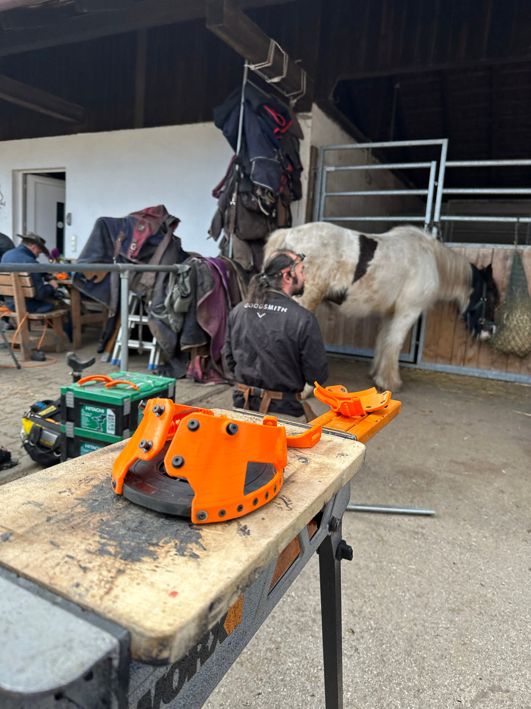 Goodsmith Workshop praktischer Teil am Pferd