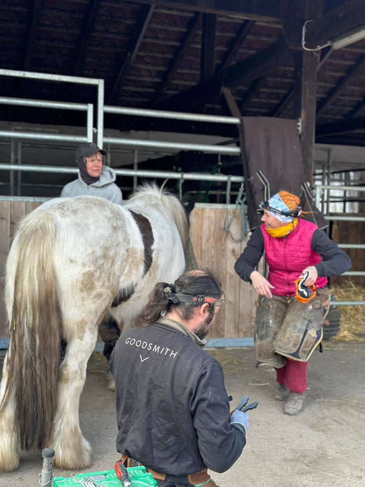 Goodsmith Workshop am Pferd