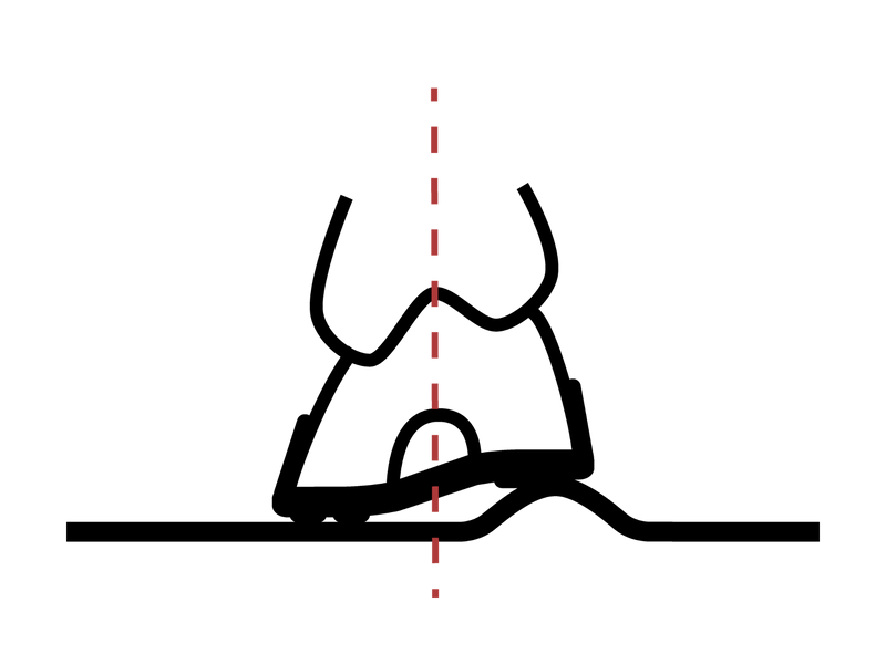 Hufmechanismus Pferd