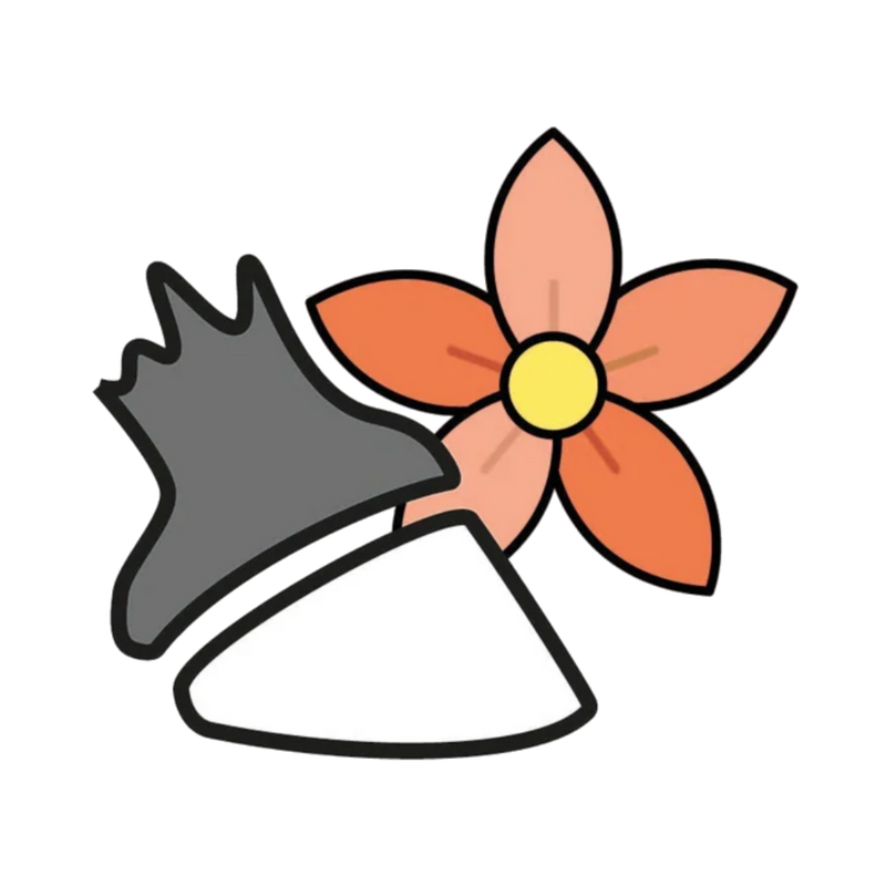 Hufgesundheit im Frühling
