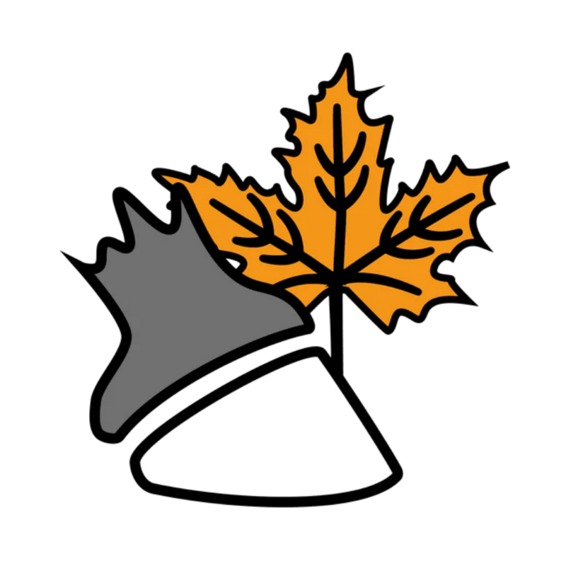 Mit gesunden Hufen durch den Herbst