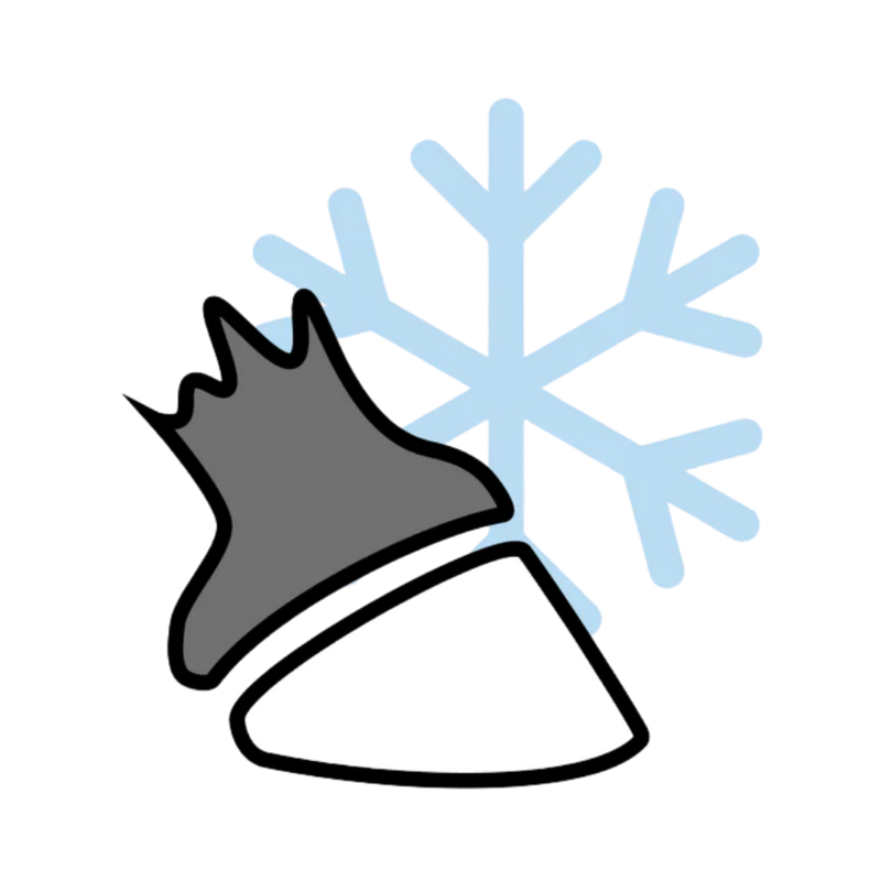Hufgesundheit im Winter