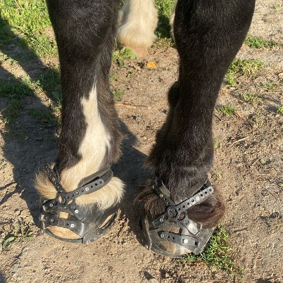 Schritt für Schritt zu perfekt sitzenden Hufschuhen