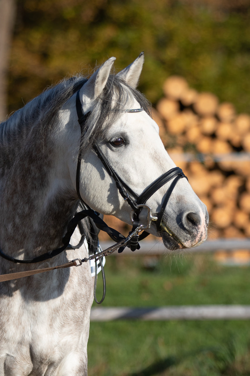 Der Goodsmith Klebebeschlag bei Arthrose