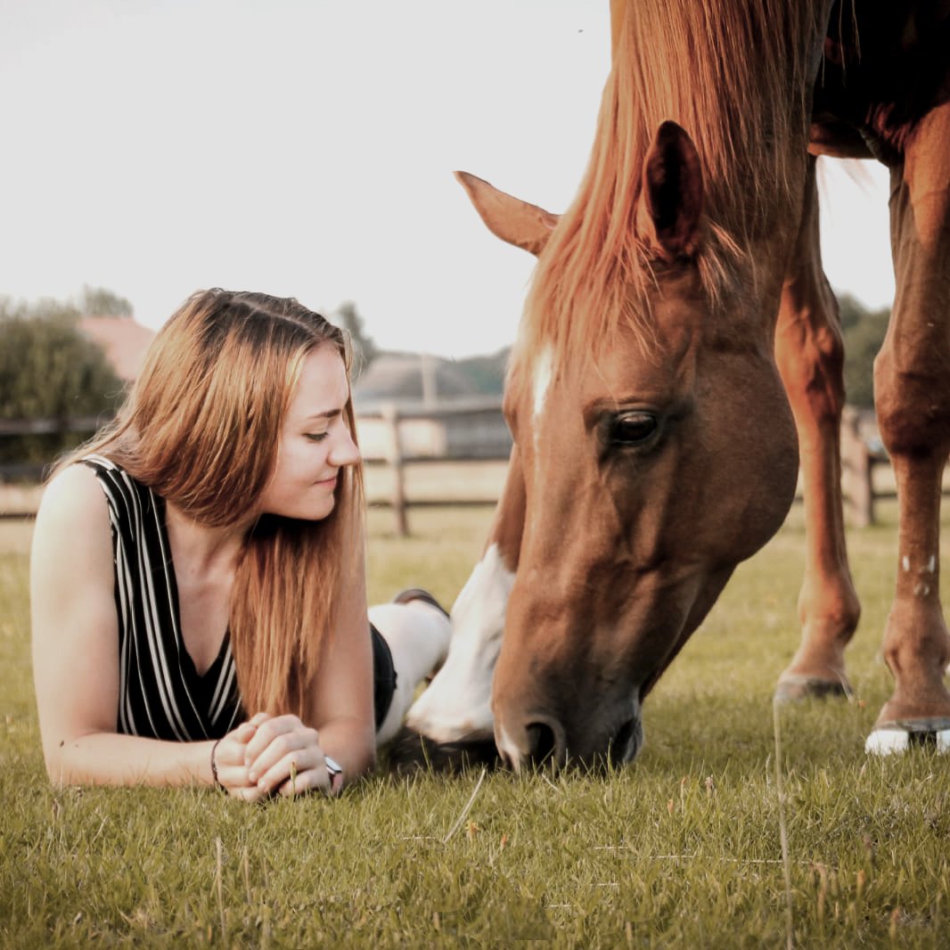 Klebebeschlag, Kunststoffbeschlag, Pferd, Hufe, Goodsmith