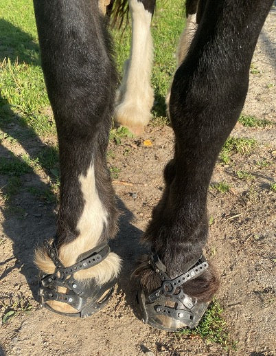 Schritt für Schritt zu perfekt sitzenden Hufschuhen