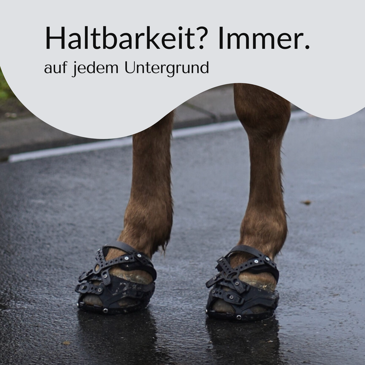 Hufschuh - Kit: anpassbare Hufschuhe