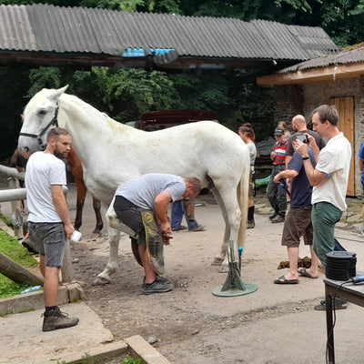 Goodsmith Klebebeschlag Workshop Praxis am Pferd
