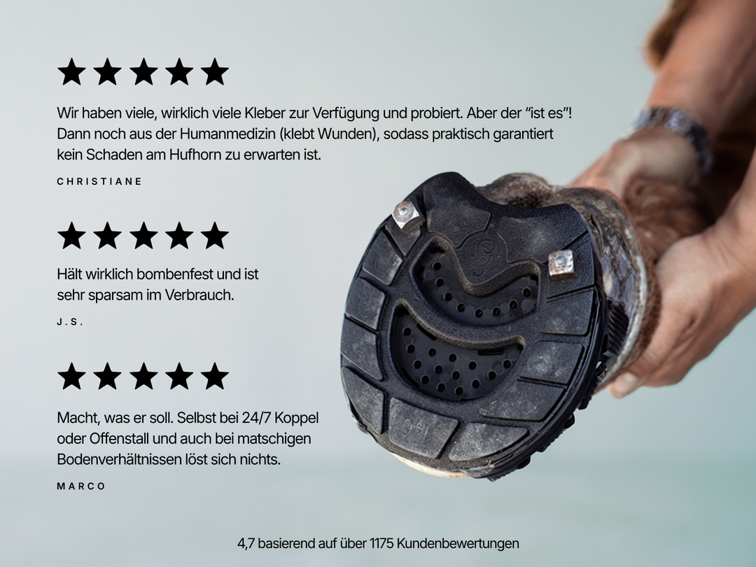 Klebebeschlag Starter Bundle