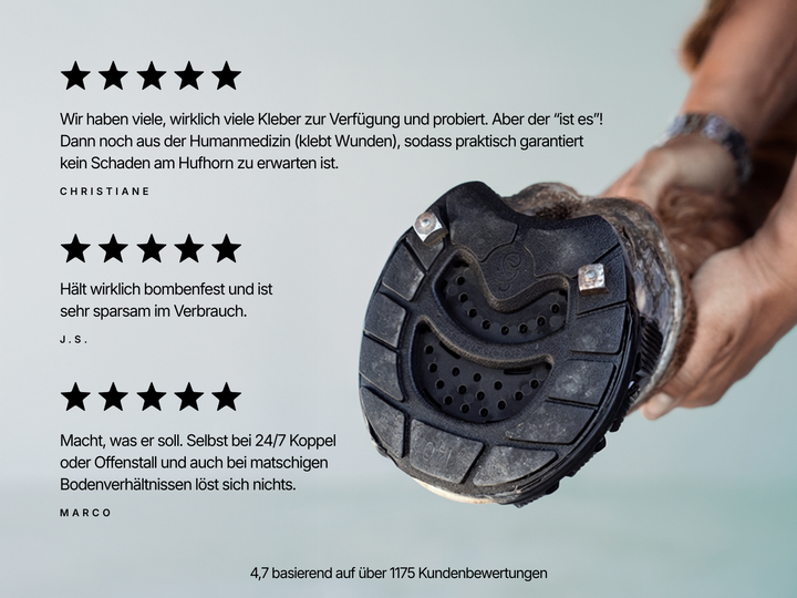 Klebebeschlag Starter Bundle