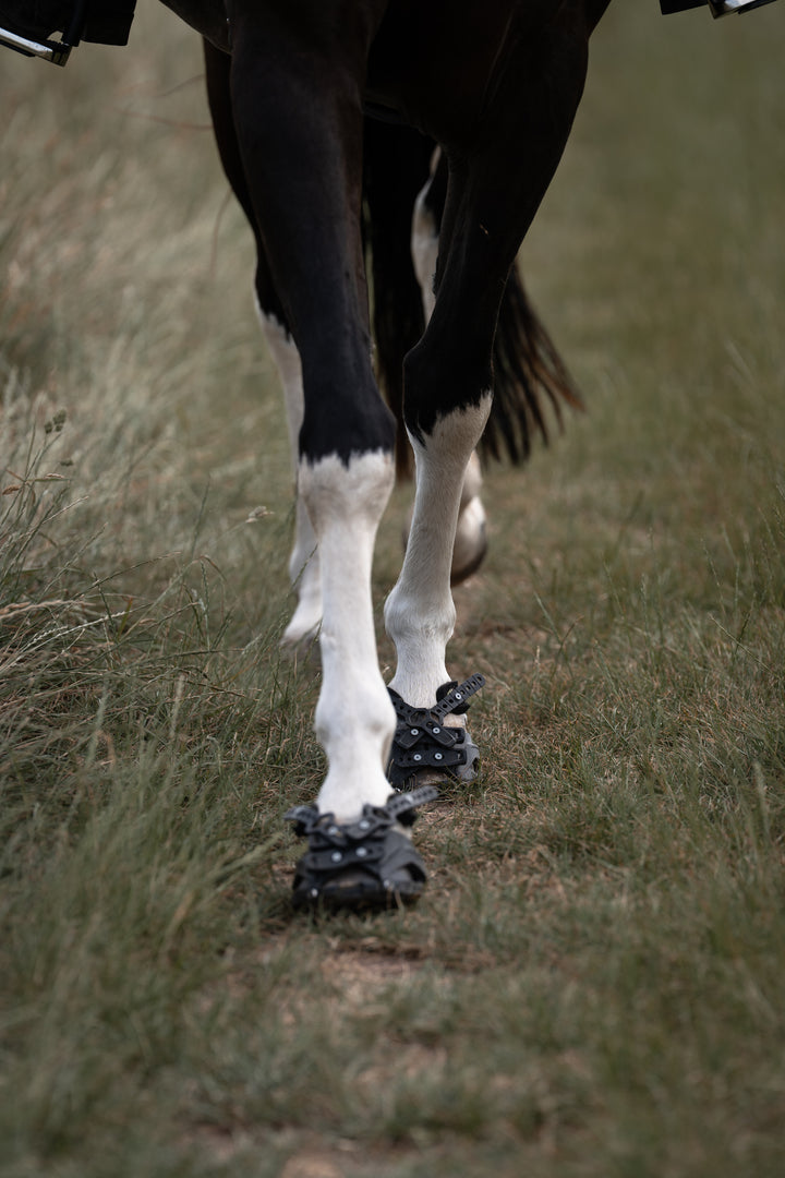 Hufschuh Workshops bei Stuttgart