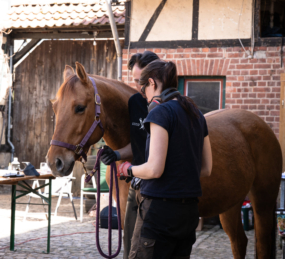 Klebe Workshop auf Gut Nüxei