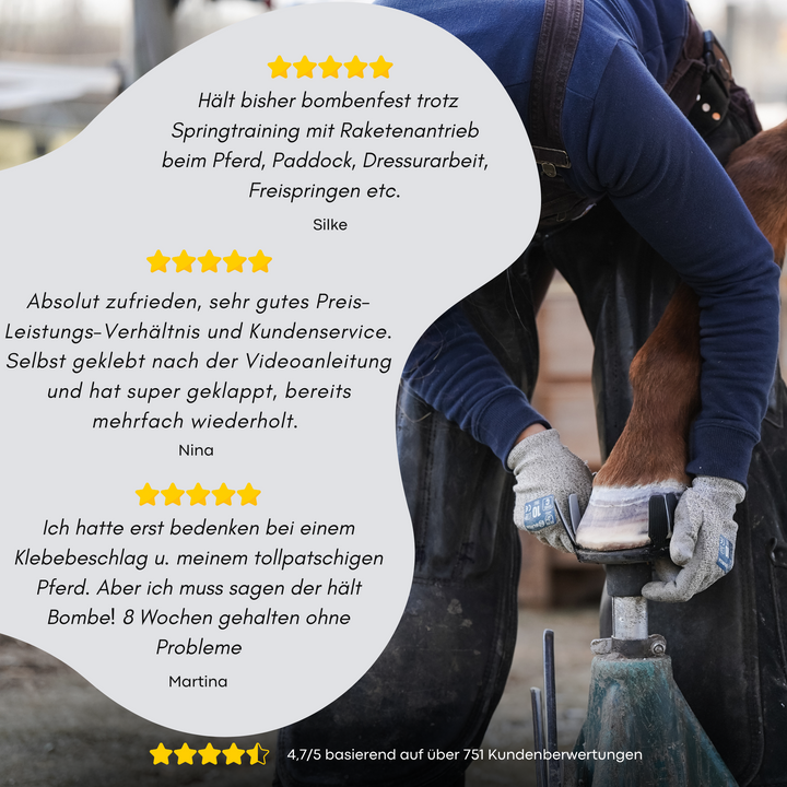 Goodsmith Kundenstimmen