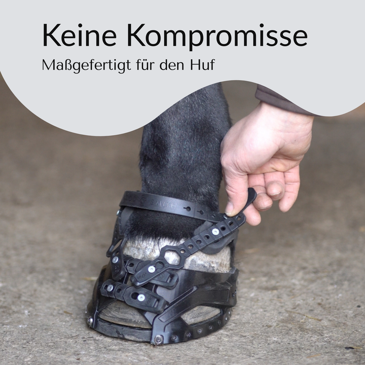 Seitenteil - Hufschuh