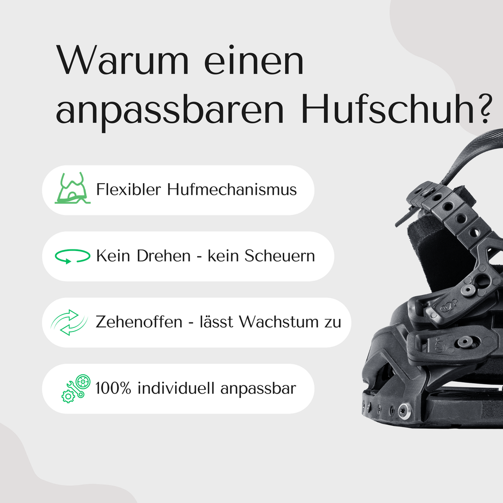 Hufschuh Goodsmith 