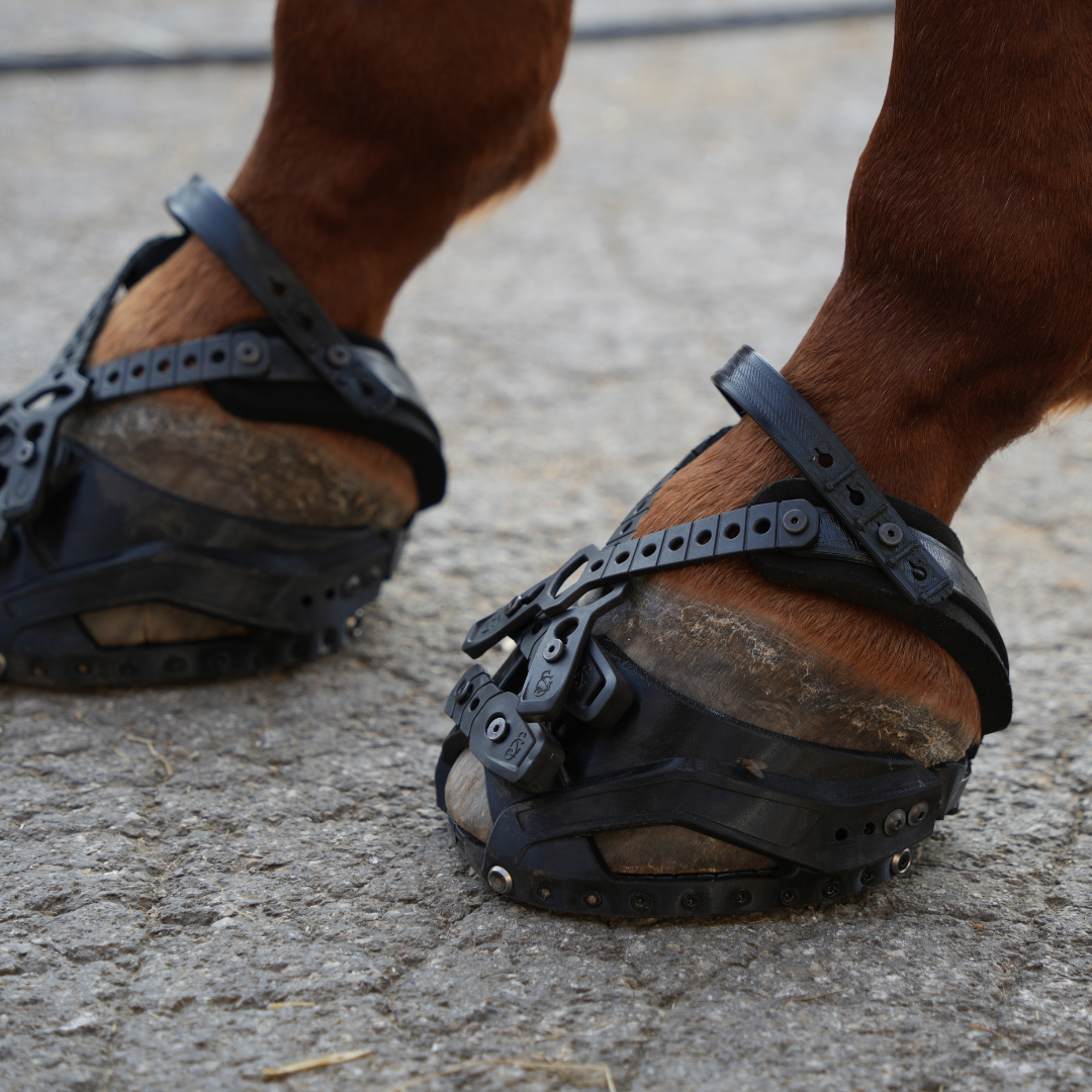 Goodsmith Hufschuh / Hufschuhe am Pferdehuf 