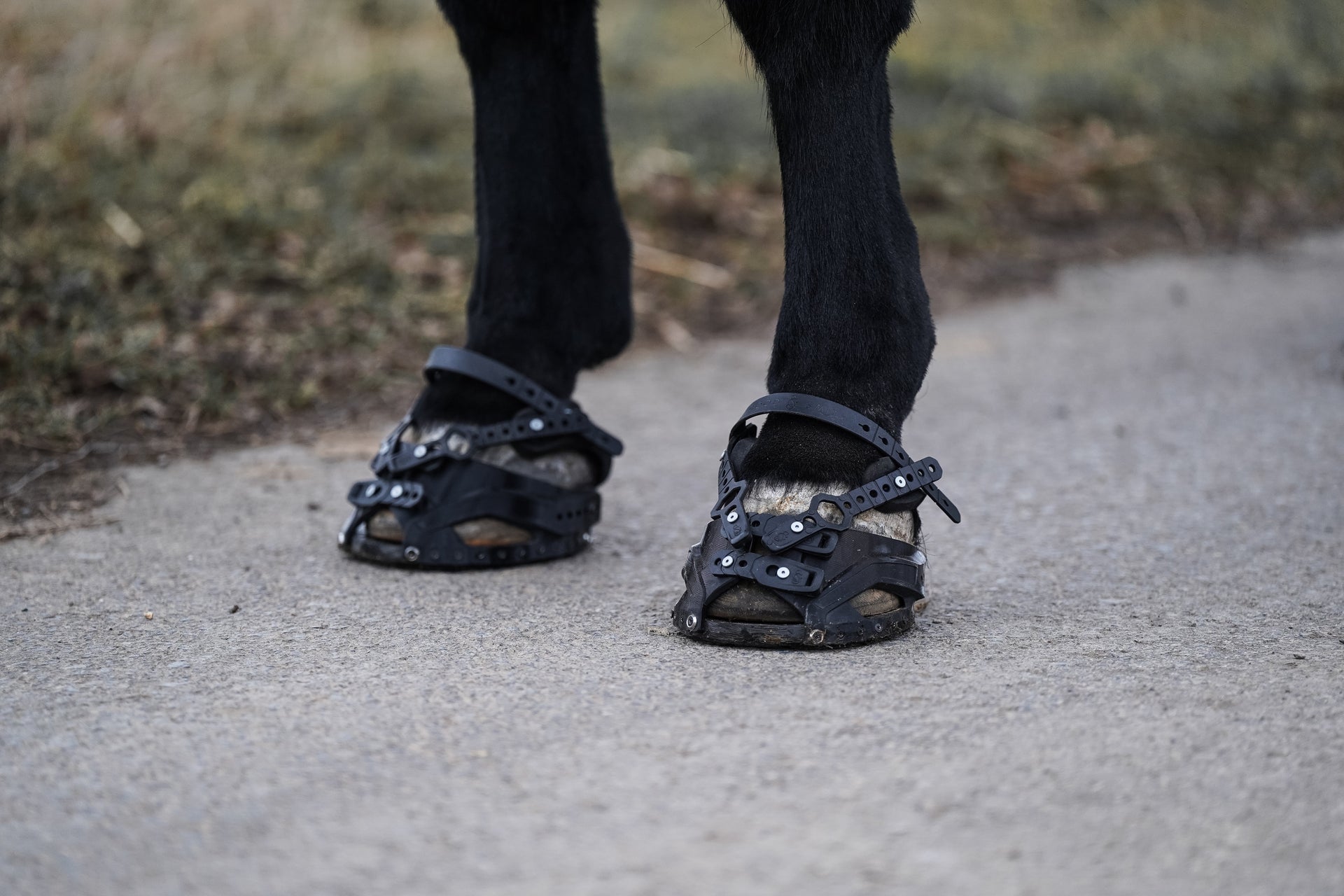 <p>Warum einen anpassbaren Hufschuh?</p>