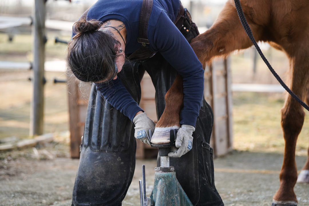 Klebe Workshop auf Gut Nüxei