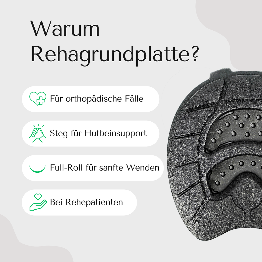 Goodsmith Rehagrundplatte