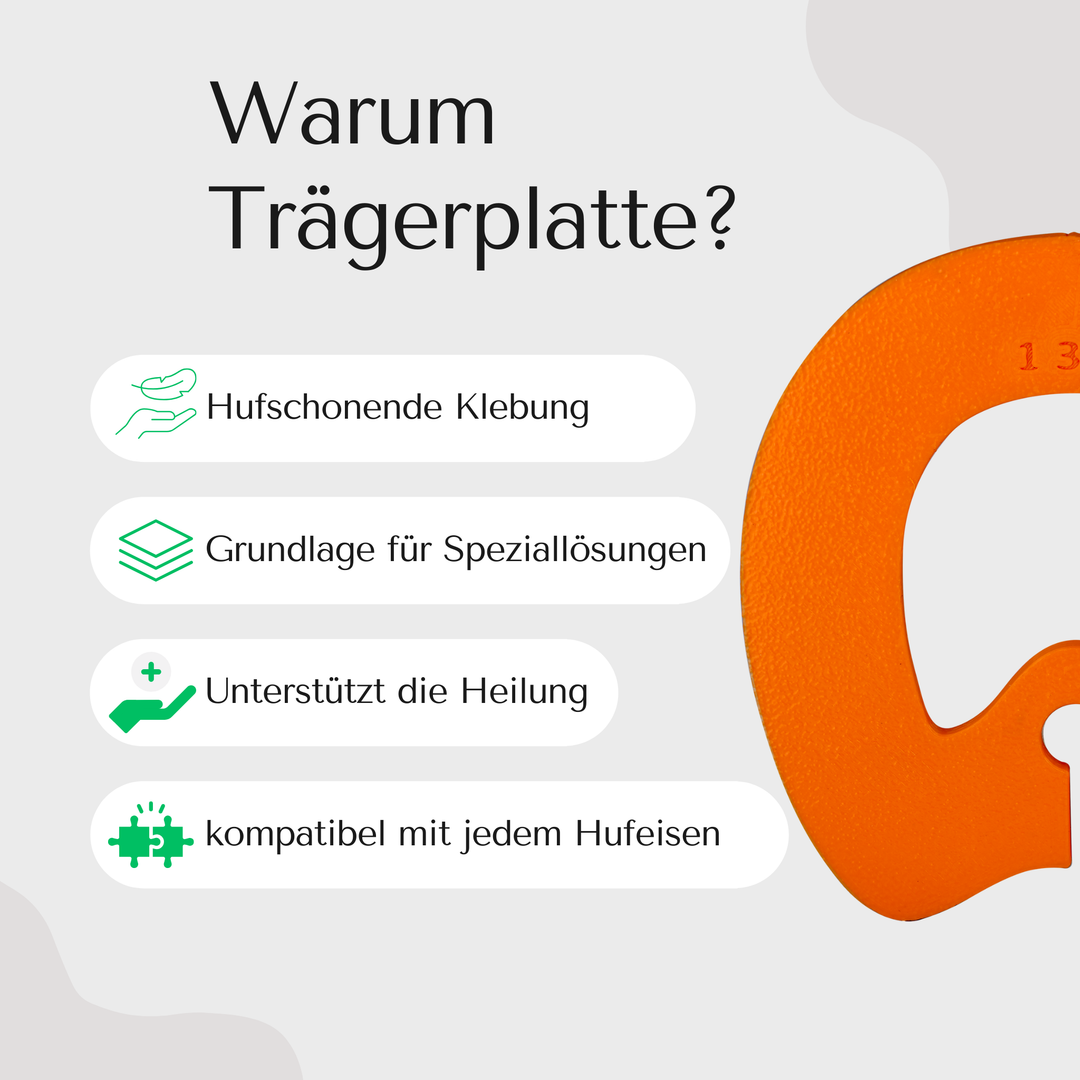 Goodsmith Trägerplatte - Restposten 70% Rabatt