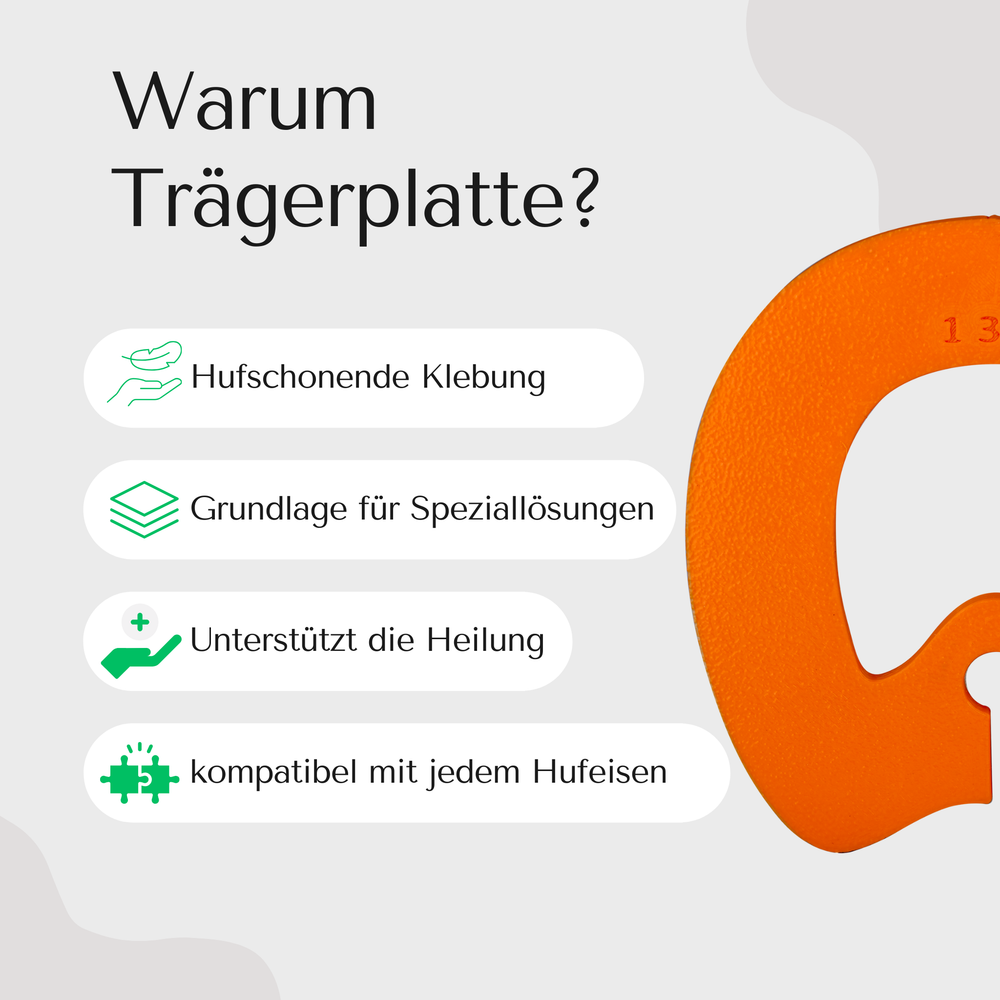 Goodsmith Trägerplatte