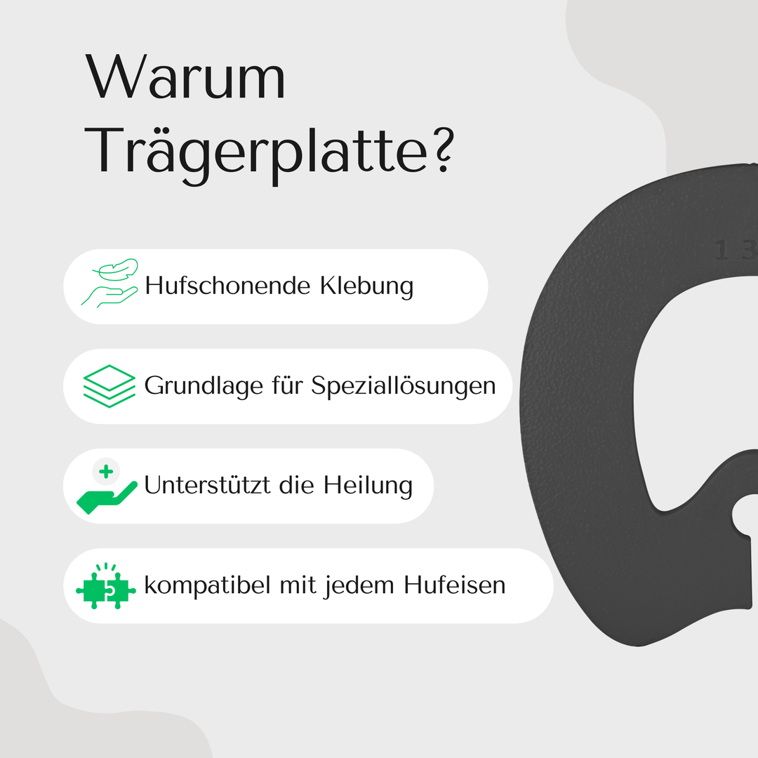 Goodsmith Trägerplatte